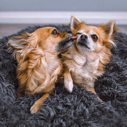 Fluffy Plus Dog Bed – The Original