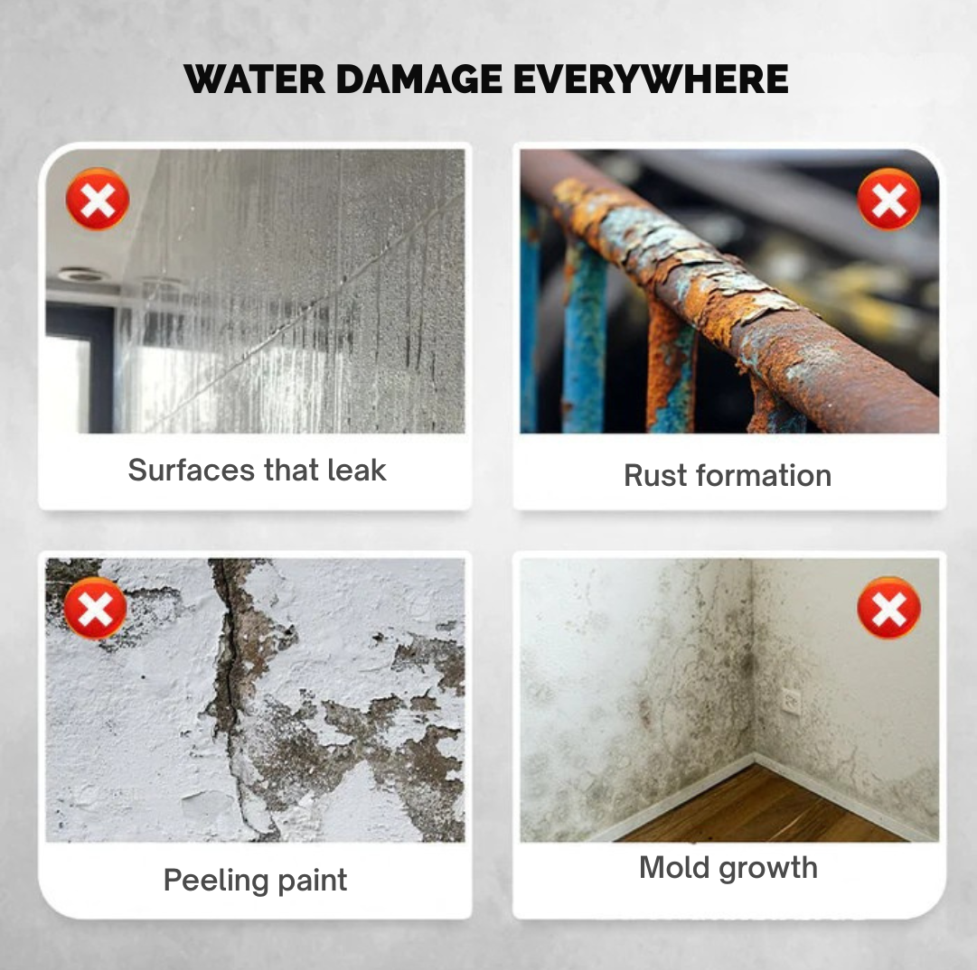 Four examples of water damage: leaking surface, rusted railing, peeling paint and mould on a wall 2