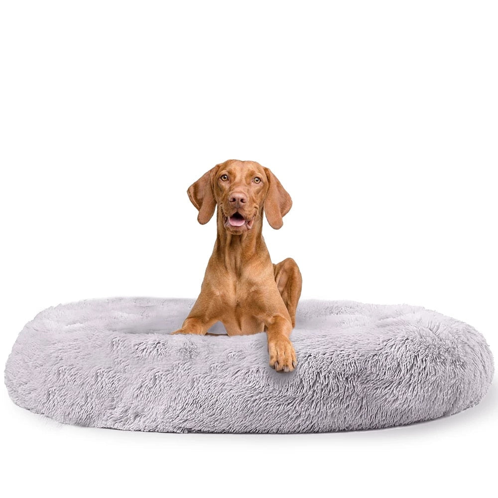 Calming Dog Bed - Snoozy