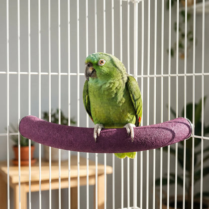 Green parrot standing on a purple textured curved perch mounted inside a white cage, with plants and a wooden table behind. 3