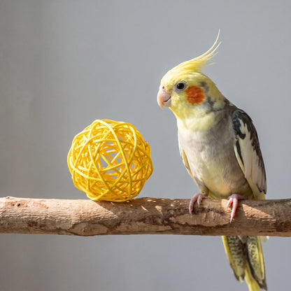 A yellow woven ball sits on a wooden perch beside a cockatiel with a yellow crest and orange cheek. 2
