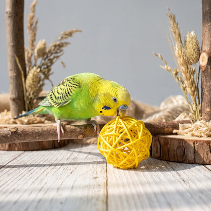 A green and yellow budgie perched on a branch pecks at a yellow woven ball on a wooden tabletop. 3