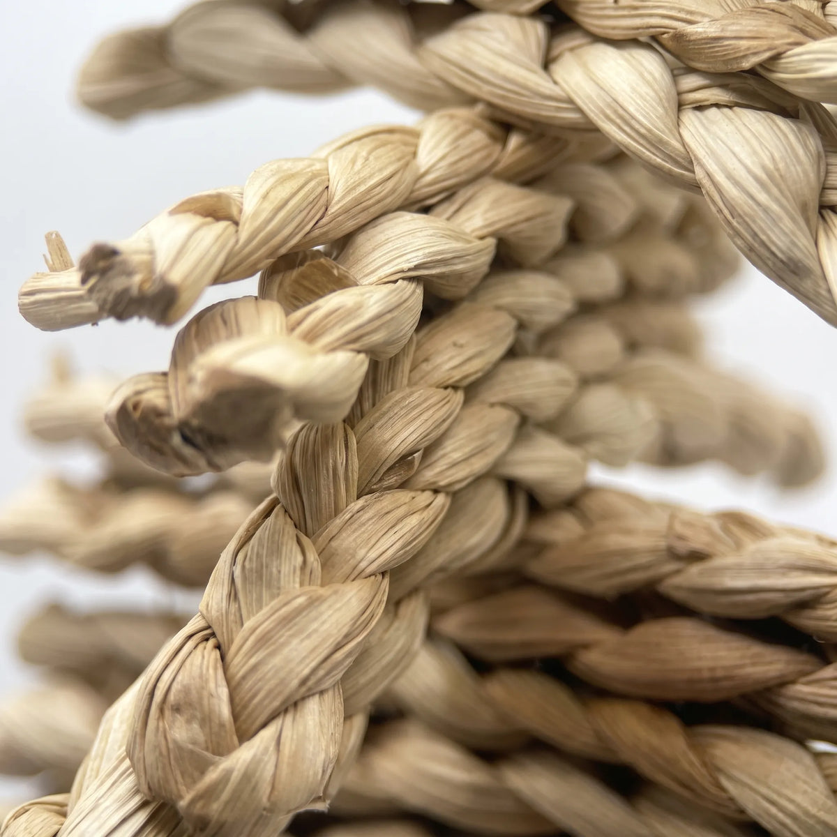 Close-up of the braided straw plaits, showing the twisted pale fibres and frayed ends that a bird can chew. 3