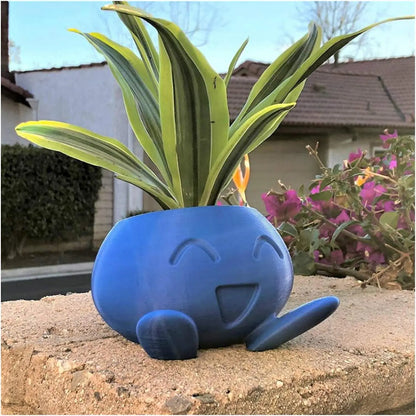Unique Succulent Pot - QuirkyPot