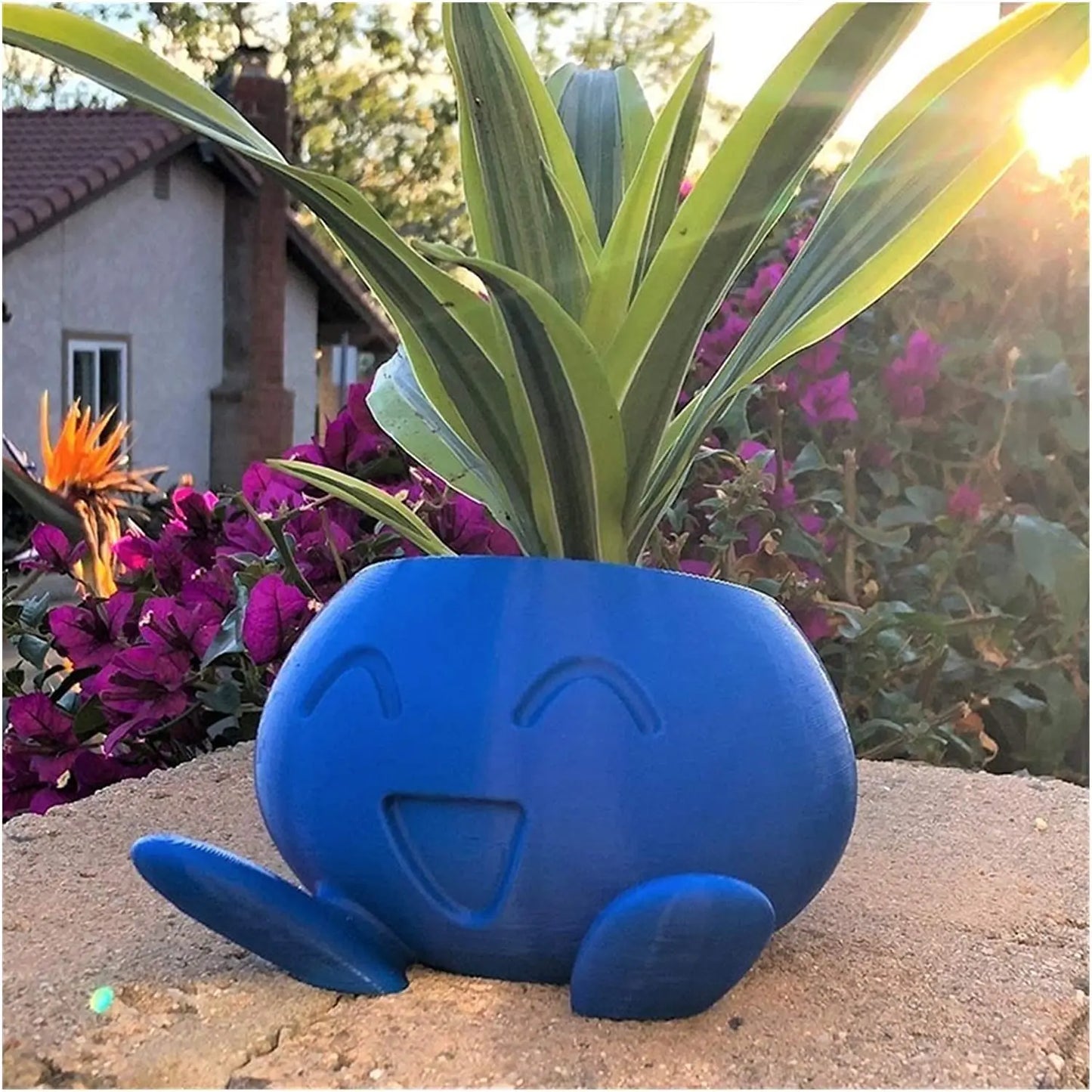 Unique Succulent Pot - QuirkyPot