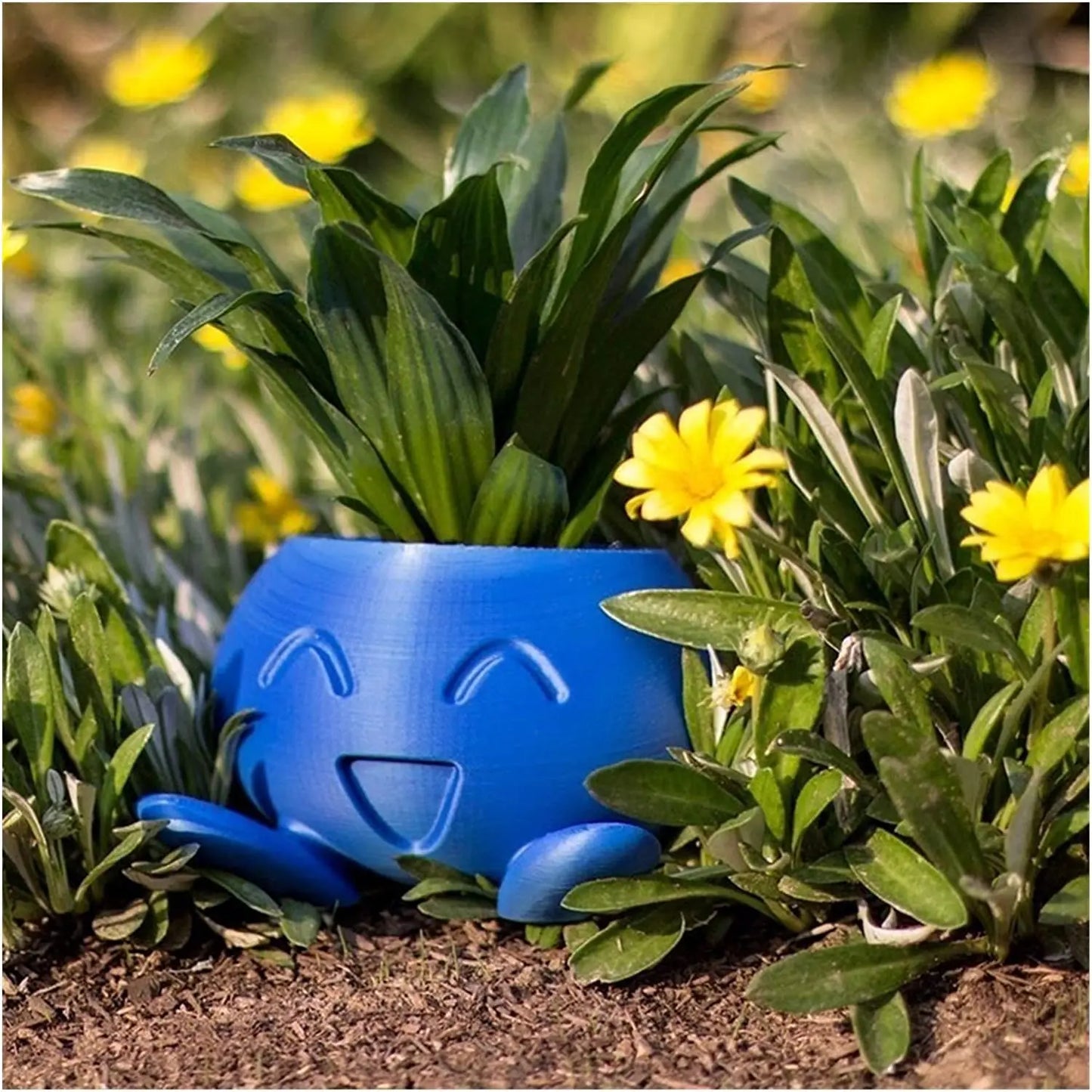 Unique Succulent Pot - QuirkyPot