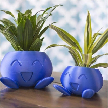 Unique Succulent Pot - QuirkyPot