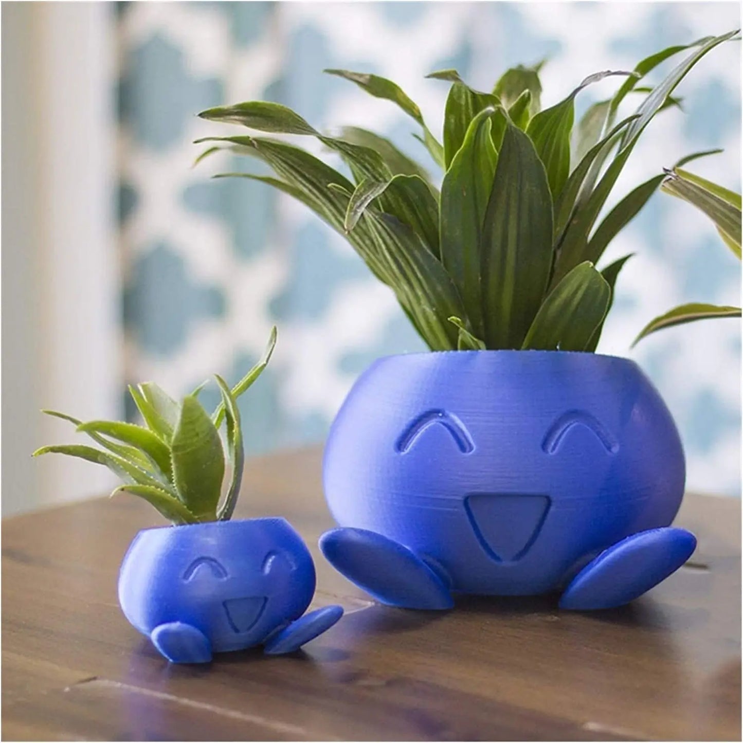 Unique Succulent Pot - QuirkyPot