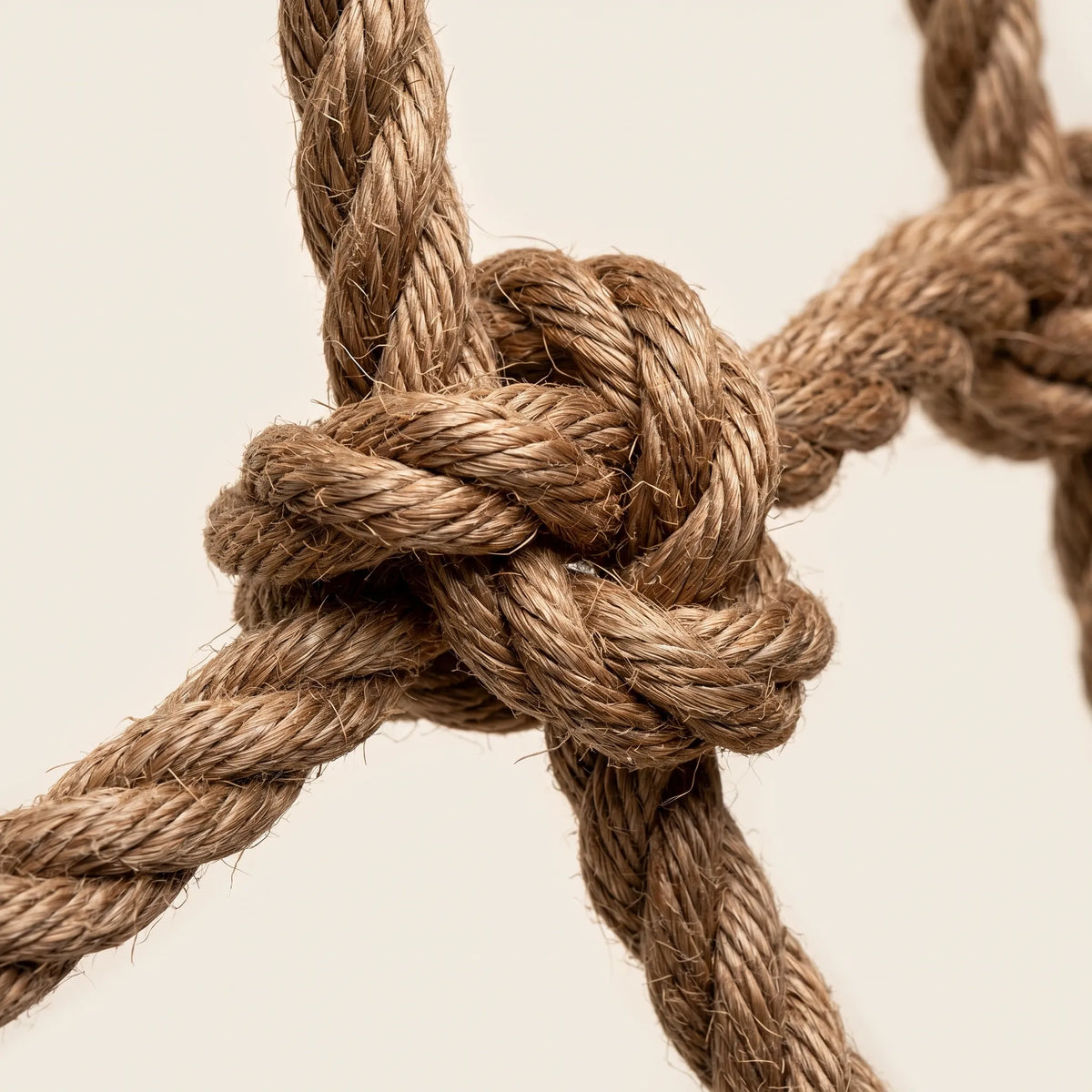 Close-up of a thick twisted natural rope knot where the net's ropes meet, showing the fibre texture. 4