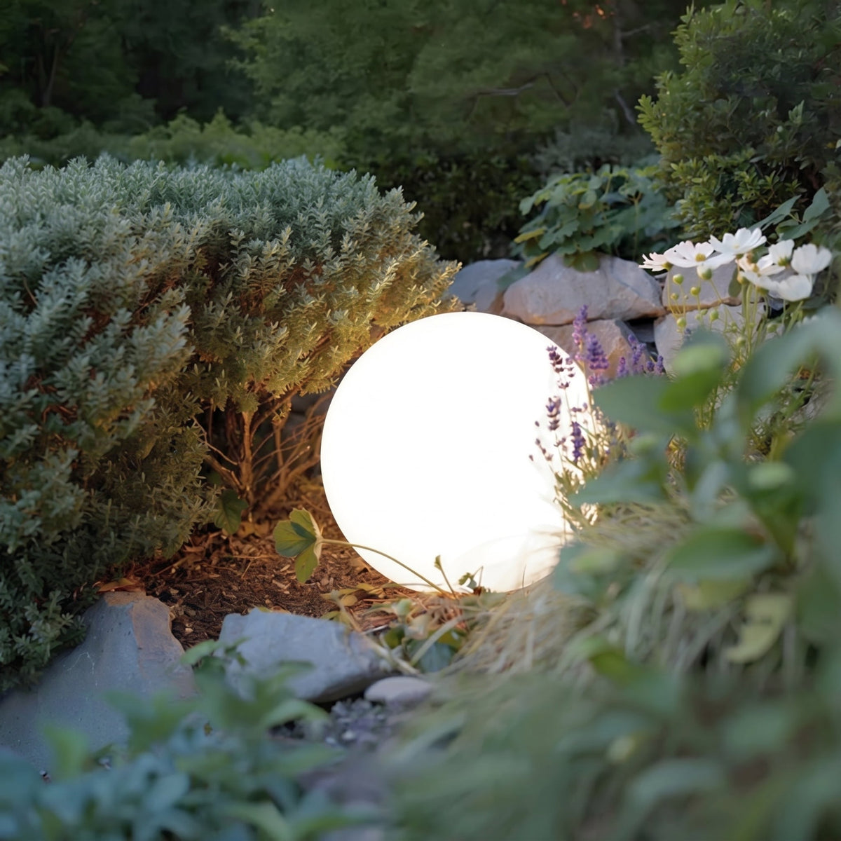 Close view of one glowing sphere tucked among silvery shrubs, lavender and white flowers beside rocks in the evening garden. 5