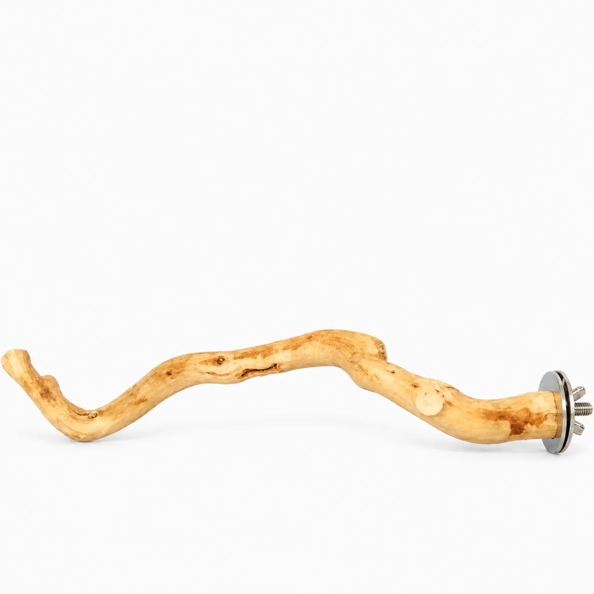 Single winding natural wood branch perch on a white background, with a steel washer and wing nut fixing at one end. 1