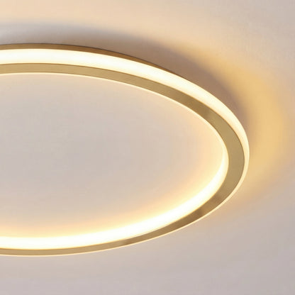Close-up of the brushed gold ring edge and the soft diffused glow of the light 2