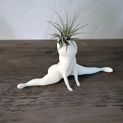 Spooky Shape Air Plant Display - SpookyBuddy