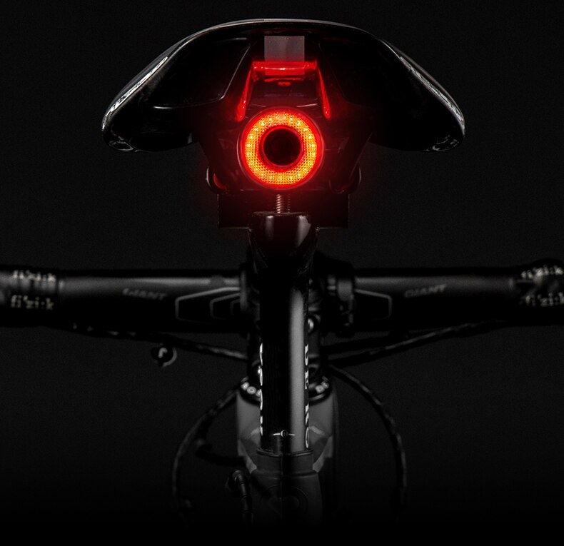 Bicycle rear light - LumiGuard Smartlight