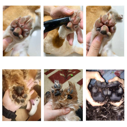 Pet Grooming Hair Clipper - PawPerfect