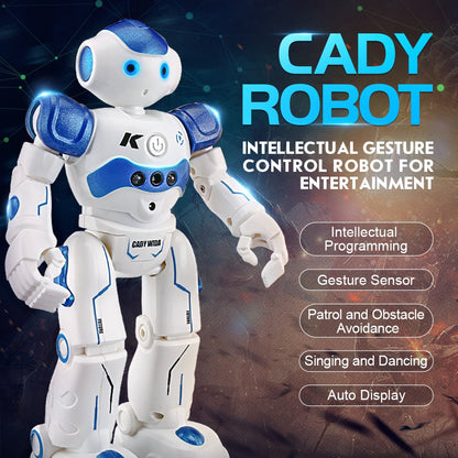 Interactive Educational Robot - NovaBot