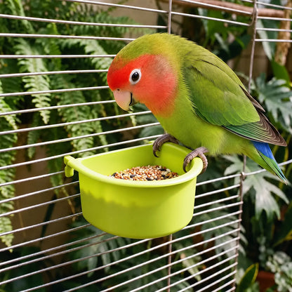 A green and red lovebird perches on the rim of a green hanging bowl filled with seed mix, attached to a cage. 2