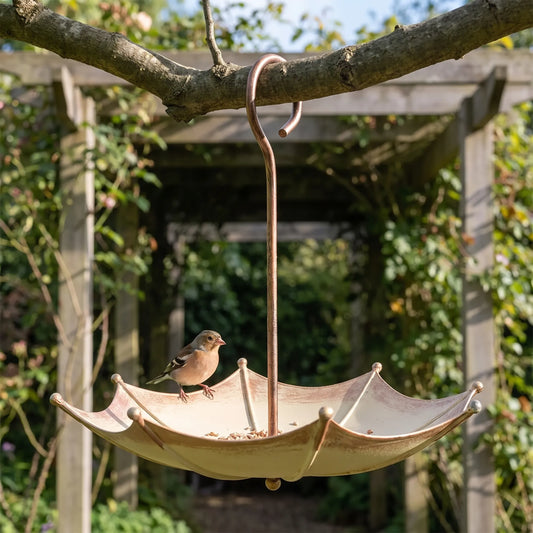 A chaffinch perches on the rim of the feeder, which hangs from a tree branch in front of a garden pergola. 2