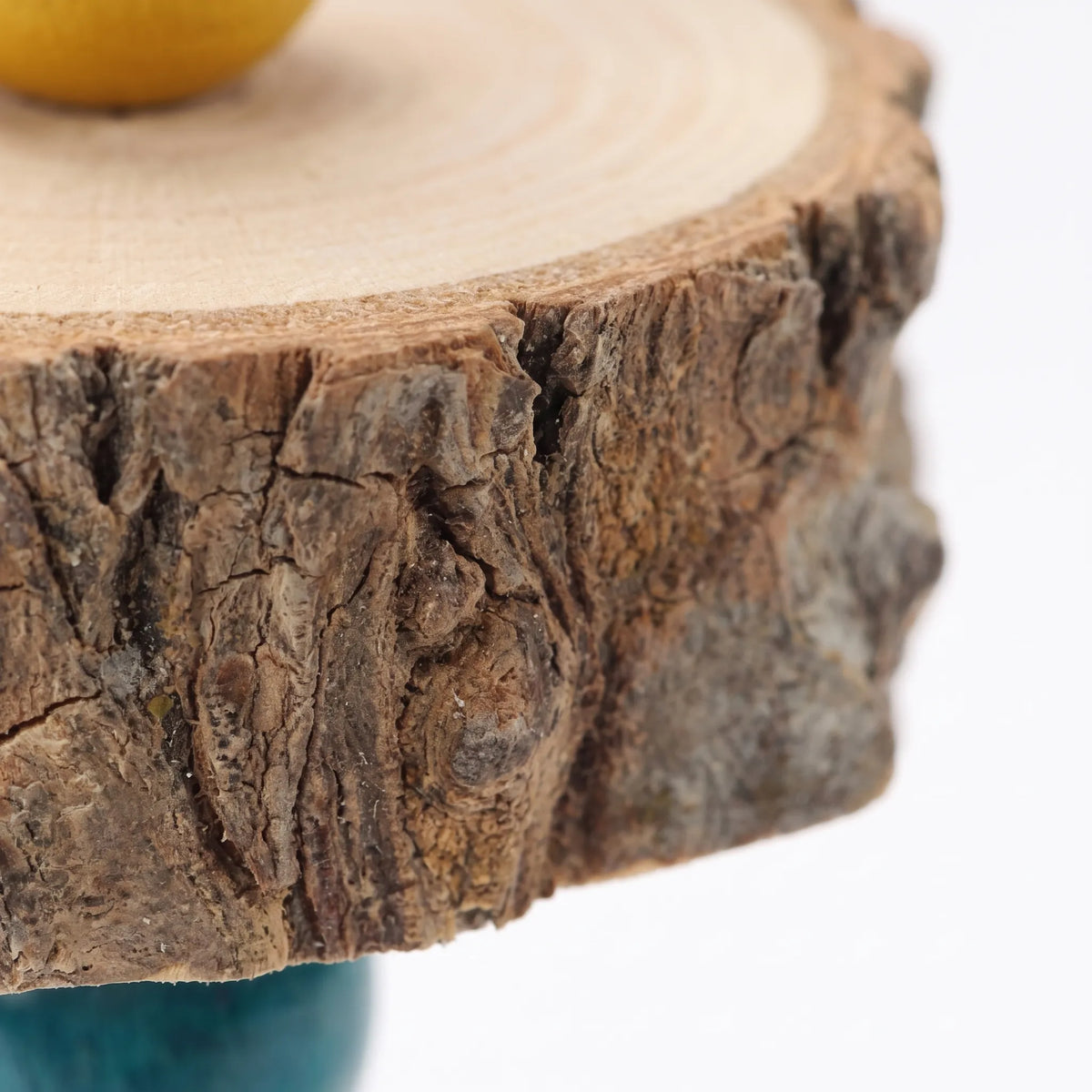 Close-up of a bark-edged wooden slice showing pale growth rings, rough bark and part of a yellow and a teal bead. 3