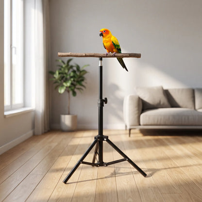 Orange and yellow parrot perched on the wooden branch of the tripod stand in a bright living room with sofa and plant. 2