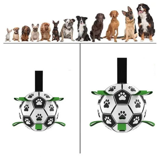 Durable Dog Football with Handles – TugBounce