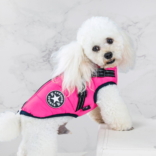 White poodle leaning on a white bench against a marble backdrop, wearing the bright pink jacket with navy trim and harness straps. 12