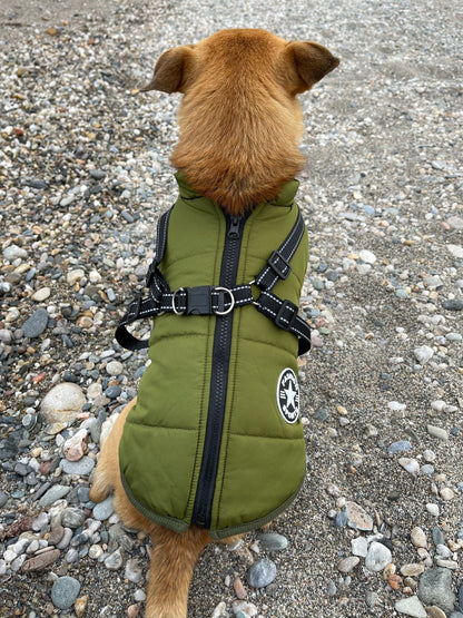 Rear view of a tan dog sitting on pebbles, wearing the green jacket with central zip, crossed reflective harness straps and a D-ring. 13