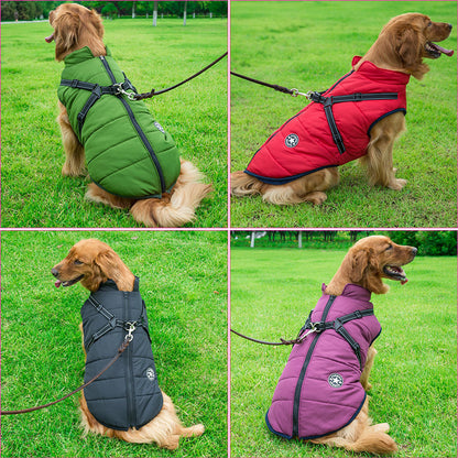 Four-panel collage of a golden retriever on grass wearing the jacket in green, red, black and purple, each clipped to a lead. 3