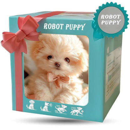 Turquoise gift-style box with a coral ribbon and a clear window showing a cream plush puppy wearing a peach bow tie. 8