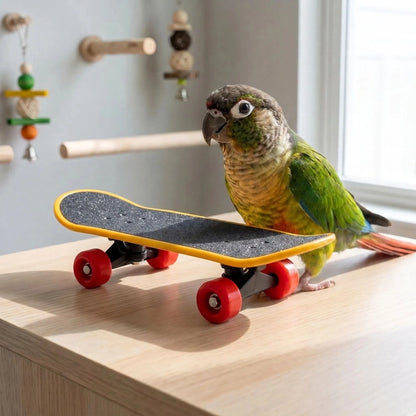 Green and yellow parrot standing on a wooden surface beside the miniature skateboard, with perches and hanging toys behind. 2