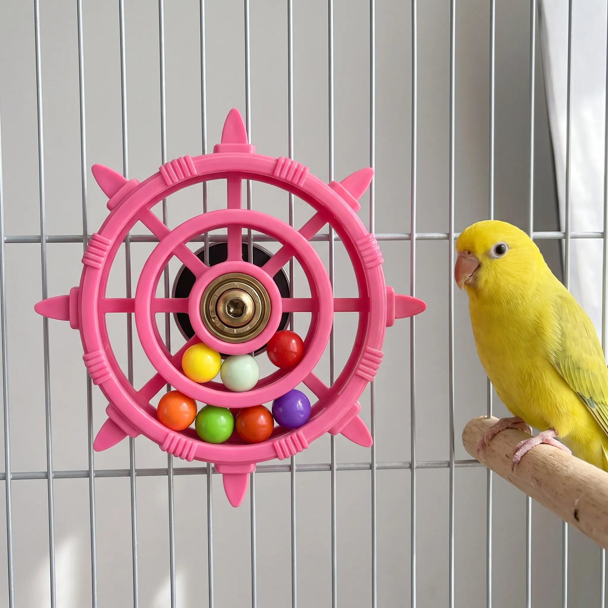 Pink wheel toy with coloured balls attached to a cage's bars, with a small yellow parakeet perched beside it. 2