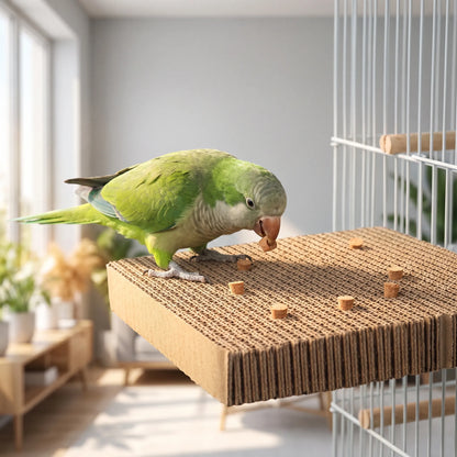 Green parakeet standing on the cardboard platform fixed to a cage, pulling out a cork stopper with its beak in a bright room. 2