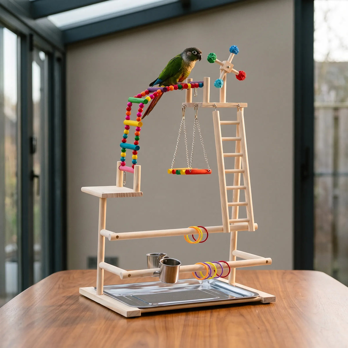 Small green parrot perched on the beaded ladder of the wooden playground, which stands on a table in a bright conservatory. 2