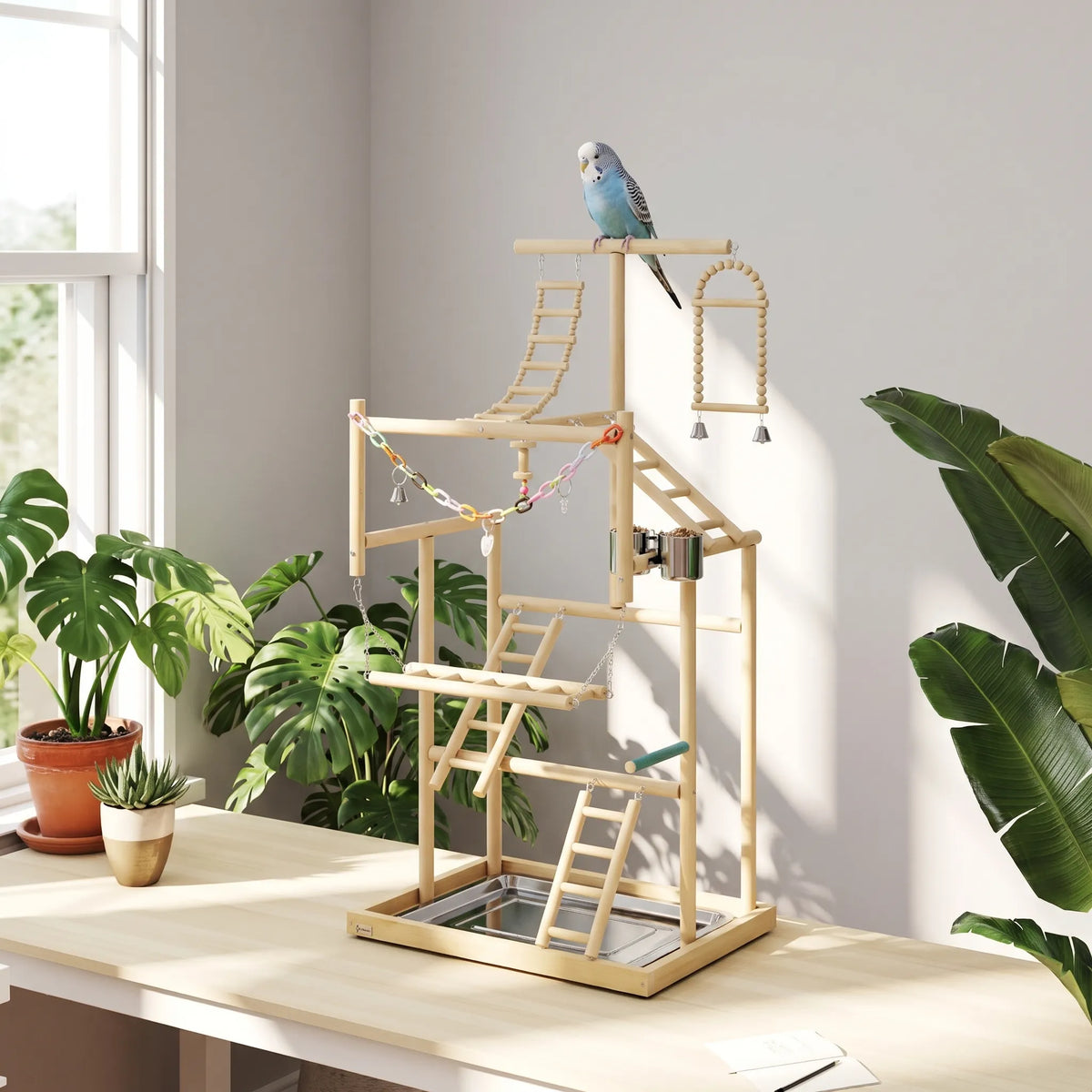 Play stand in a bright room among houseplants, with a blue budgerigar perched on the top bar and a colourful chain hanging below. 3