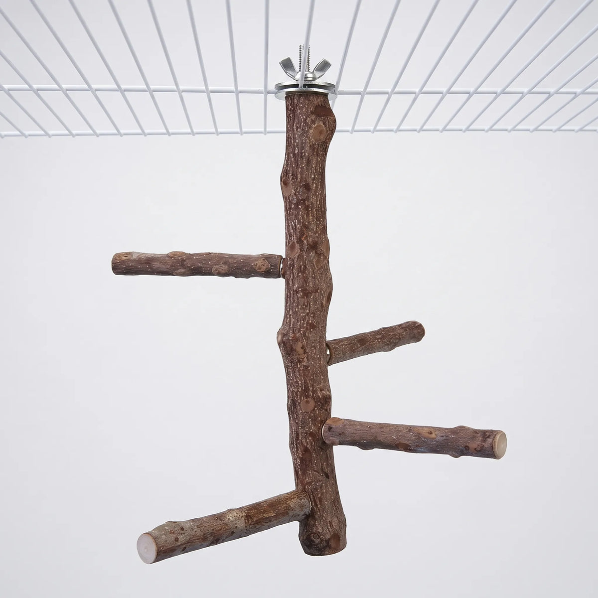 Natural wooden branch perch with four side branches at different heights, fixed to the top of a white wire cage with a wing nut. 1