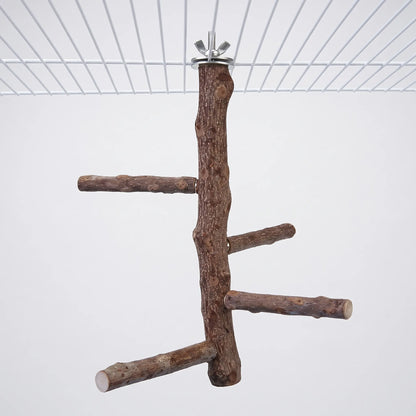 Natural wooden branch perch with four side branches at different heights, fixed to the top of a white wire cage with a wing nut. 1