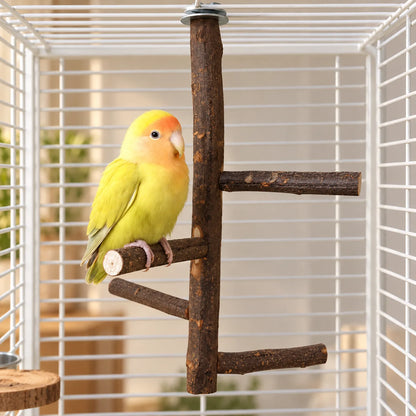 Yellow and orange lovebird perched on a lower branch of the wooden perch inside a white wire cage. 2