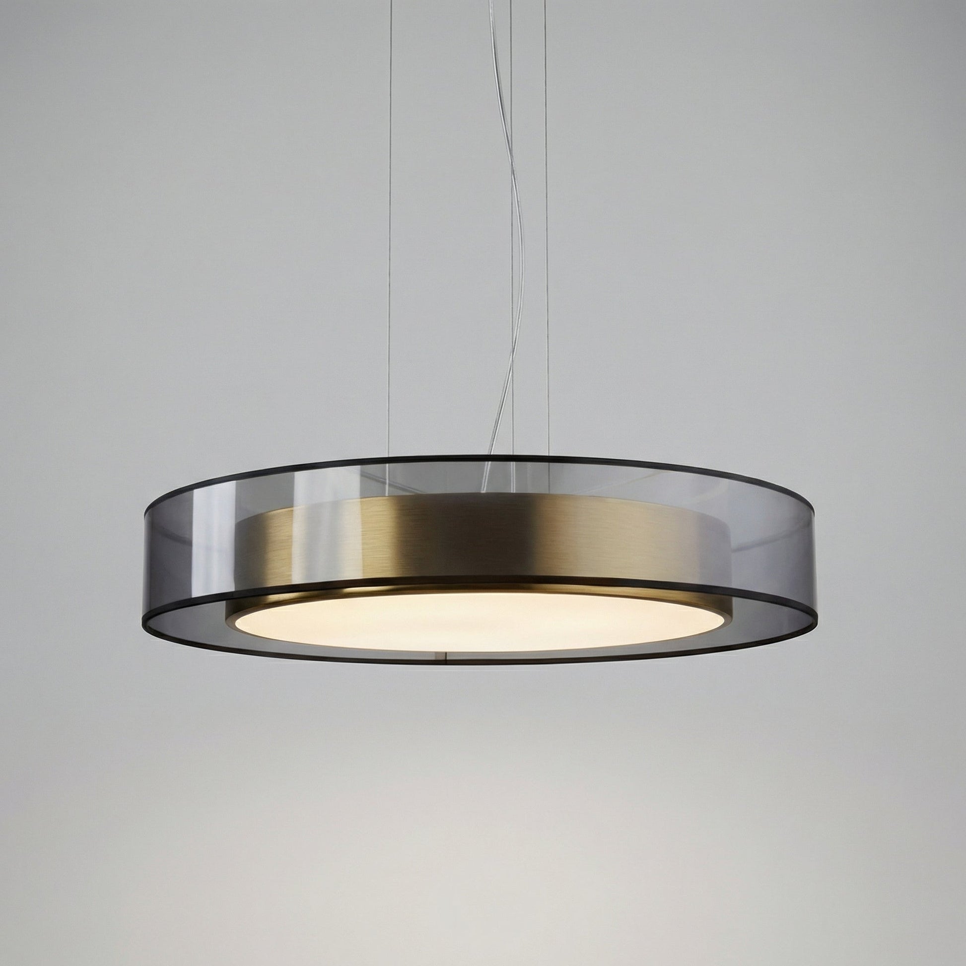 Modern Suspended Light Fixture -  Roselume