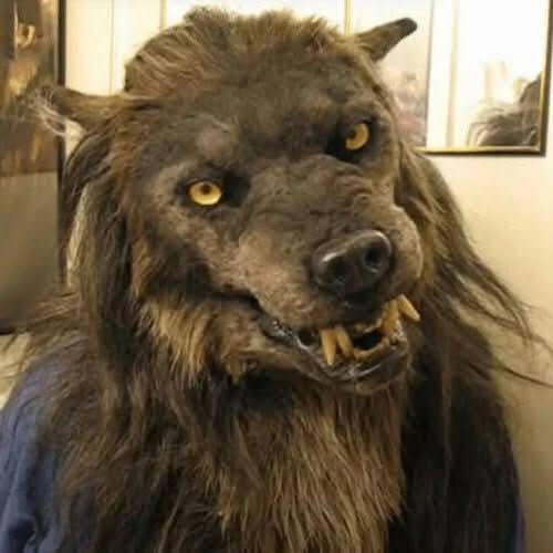 Brown furry werewolf mask with yellow eyes and bared fangs, worn by a person in a blue top, seen at a slight angle. 1