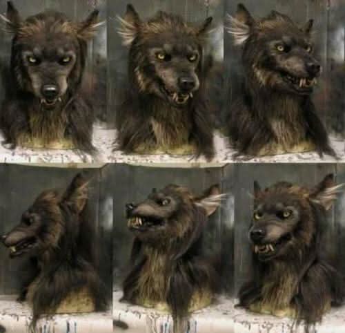 Collage of six views of the shaggy brown werewolf mask on a stand, showing front, side and three-quarter angles. 2
