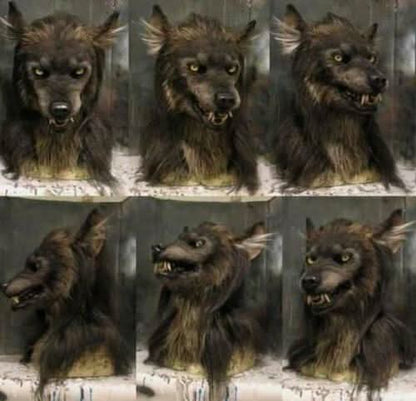 Collage of six views of the shaggy brown werewolf mask on a stand, showing front, side and three-quarter angles. 2