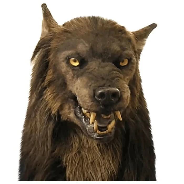 Werewolf mask cut out against a plain white background, showing the shaggy brown fur, pointed ears, yellow eyes and bared fangs. 4