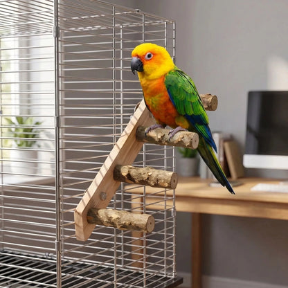 Yellow, orange and green parrot perched on a rung of the ladder fixed to a wire cage in a home office. 2