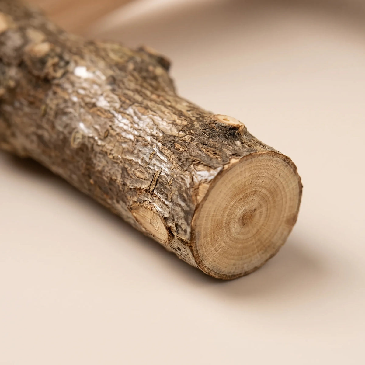 Close-up of a single natural branch rung showing rough bark, small knots and the pale rings of its cut end. 3