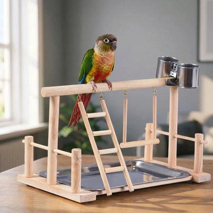 Green, yellow and red conure perched on the top bar of the wooden playground in a bright living room. 2