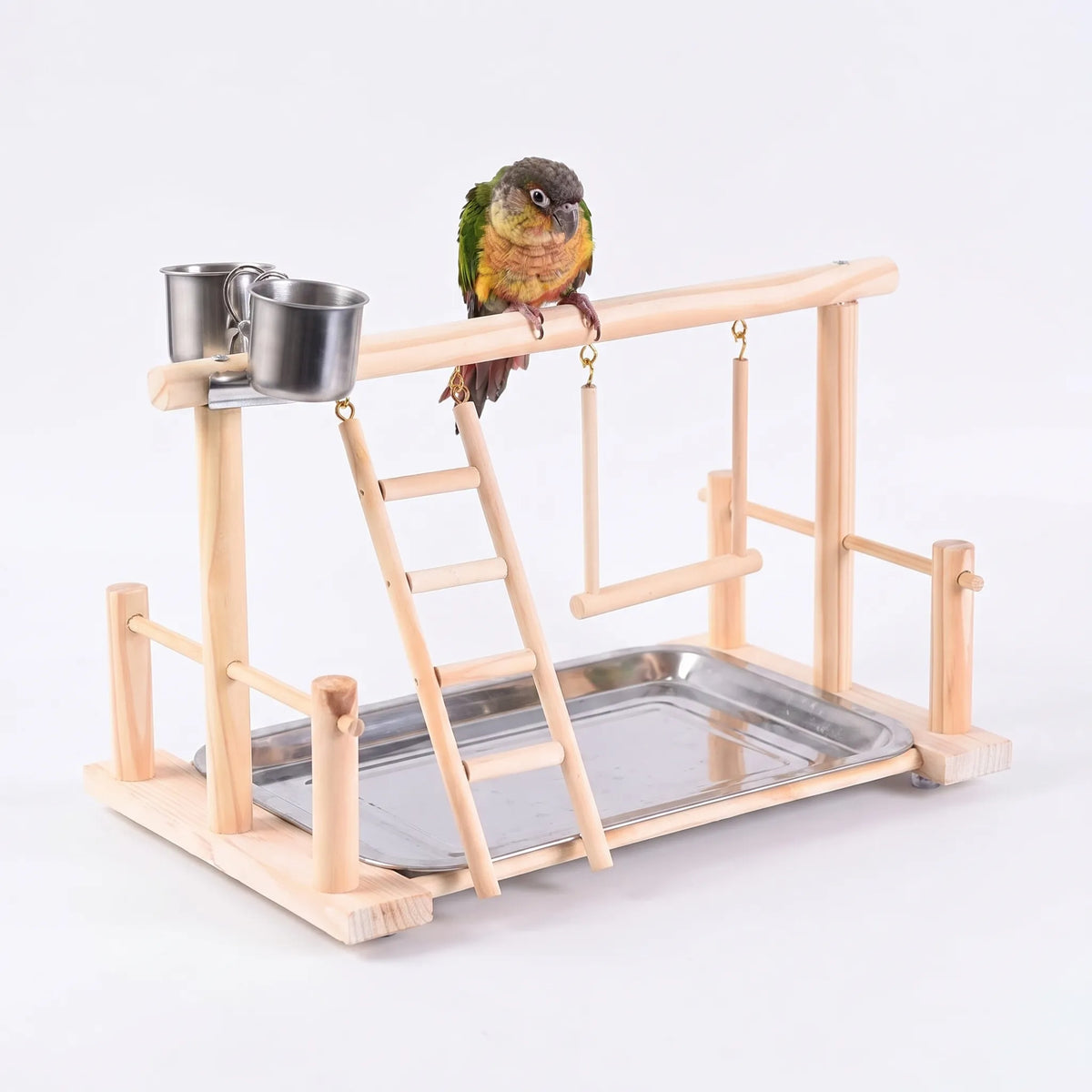 Small green and orange conure perched on the top bar of the natural wood playground, with ladder, swing and tray below. 5