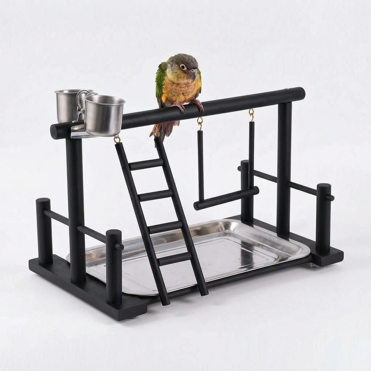 Black-finished version of the wooden playground with ladder, swing, steel cups and tray, with a conure perched on top. 6