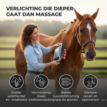 Red Light Massager for Relaxed, Supple Horse Muscles 4