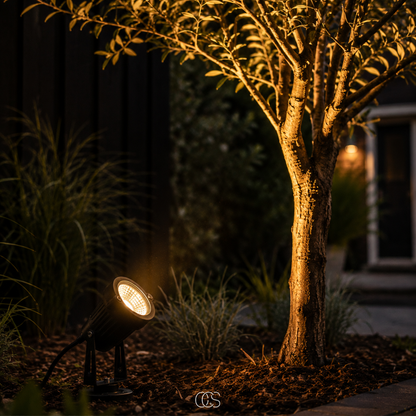 Spotlight on a ground stake at night, angled up to light the textured trunk and branches of a small tree. 5