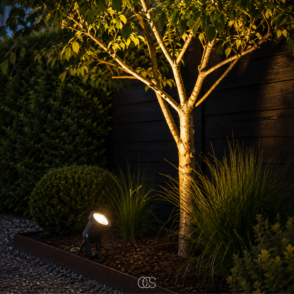 Lit spotlight in a mulched border at night, shining up the pale trunk of a young tree beside a dark fence. 3